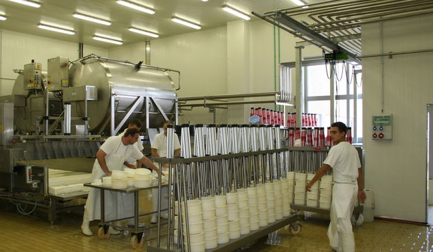 Paška sirana (foto: J.Portada)