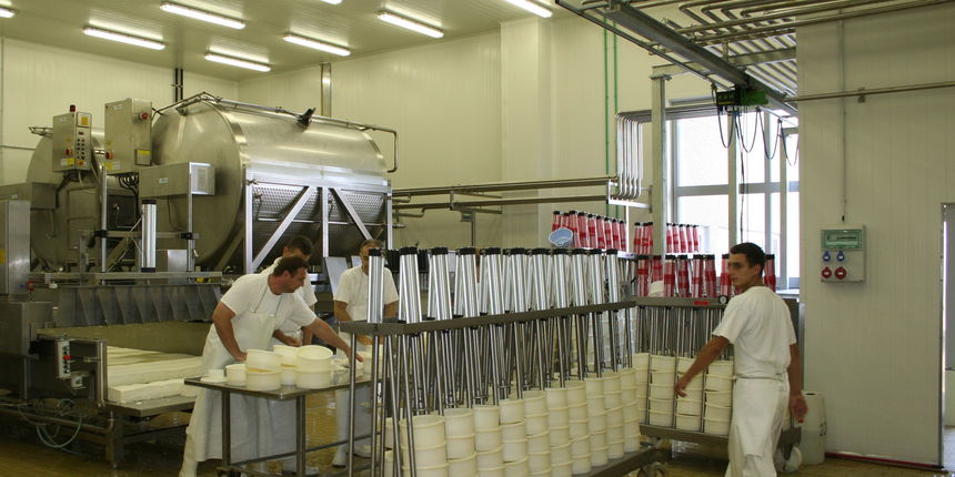 Paška sirana (foto: J.Portada)