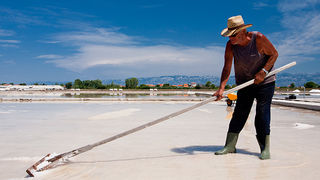 Solana Nin, berba soli, foto: Leo Banić