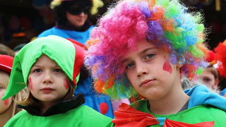 Virski karnevalić 2016. Virski karnevalić 2016.