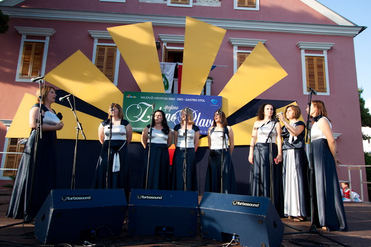 Biograd: 6. Dugi svehrvatski eno-eko-gastro-etno stol, Foto: Franjo Jurić Biograd: 6. Dugi svehrvatski eno-eko-gastro-etno stol, Foto: Franjo Jurić