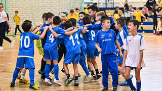1.Cateleya indoor Cup 1.Cateleya indoor Cup