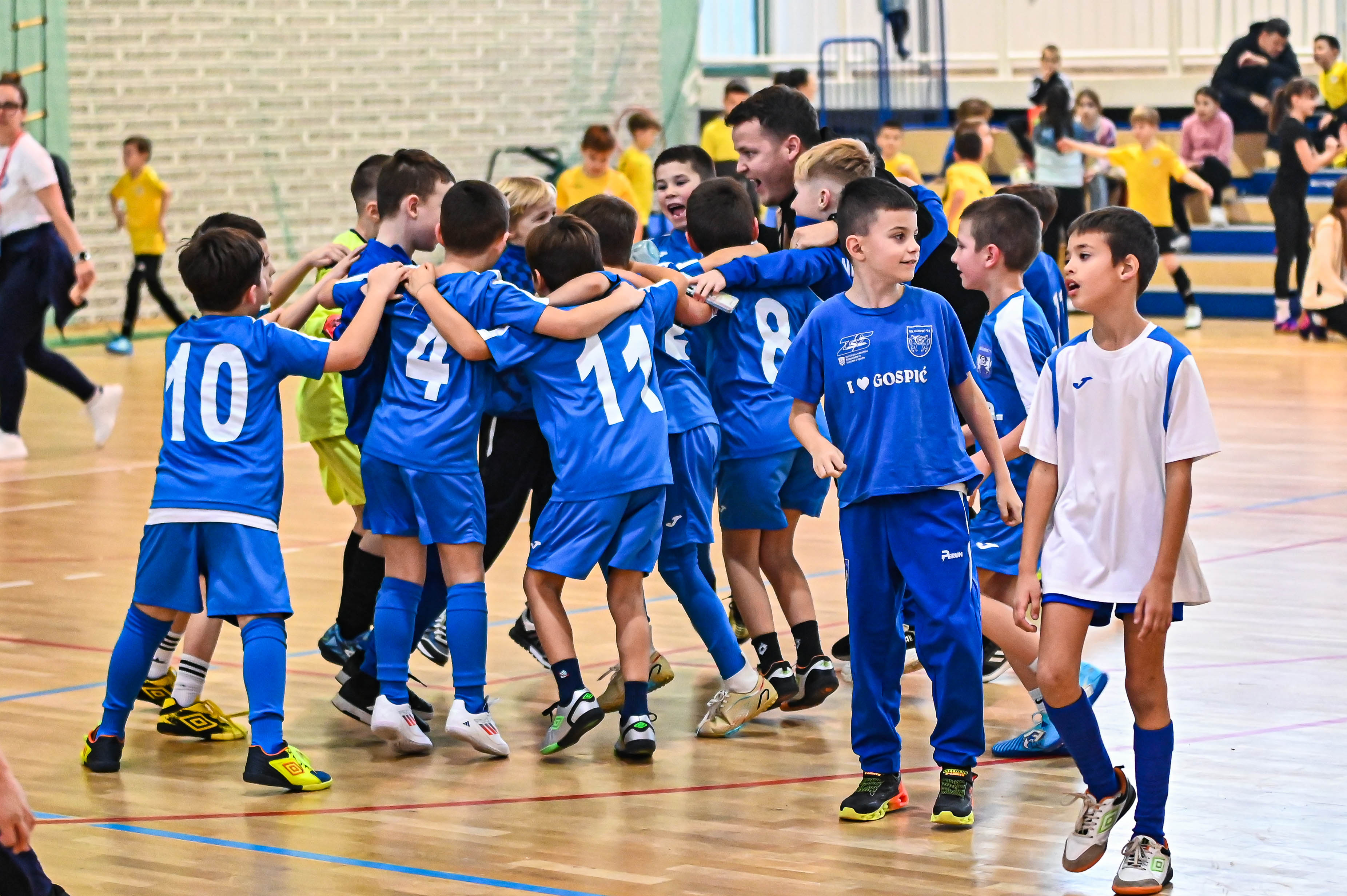 1.Cateleya indoor Cup 1.Cateleya indoor Cup