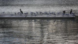 Predvečerje u Zadru 6. ožujka 2014.  Foto: Filip Brala/PIXSELL