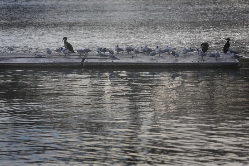 Predvečerje u Zadru 6. ožujka 2014.  Foto: Filip Brala/PIXSELL