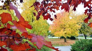 Prekrasne boje bjelovarske jeseni, Photo: Damir Špehar/PIXSELL