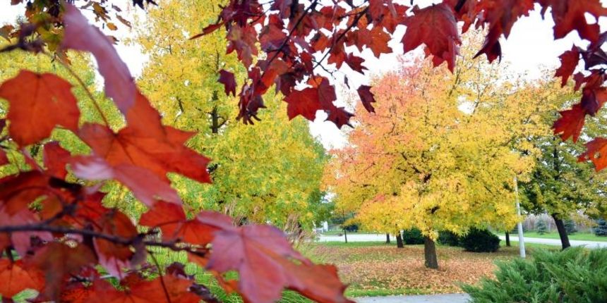 Prekrasne boje bjelovarske jeseni, Photo: Damir Špehar/PIXSELL