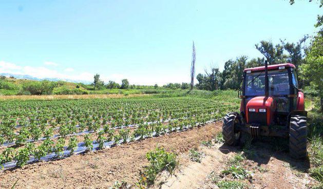 Mala obiteljska priča: Predstavljamo OPG Davor Matak iz Ražanca