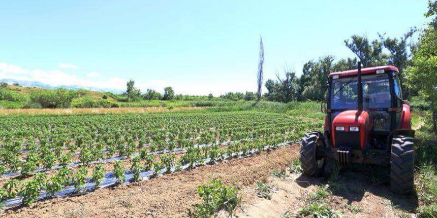 Mala obiteljska priča: Predstavljamo OPG Davor Matak iz Ražanca Mala obiteljska priča: Predstavljamo OPG Davor Matak iz Ražanca