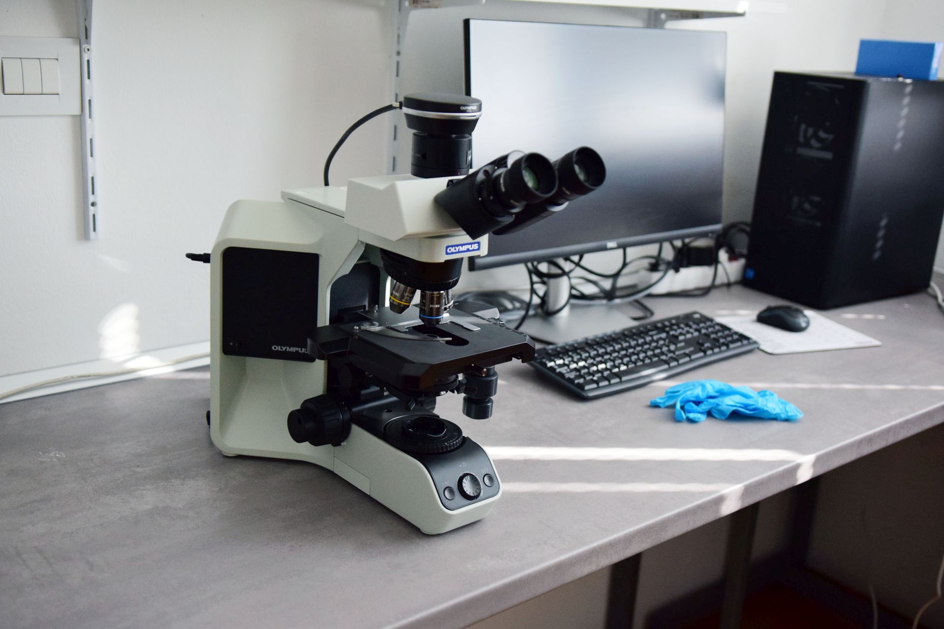 Strani studenti na združenom studiju Biotehnologija mora Strani studenti na združenom studiju Biotehnologija mora