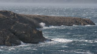 Image 1177841 (auto)