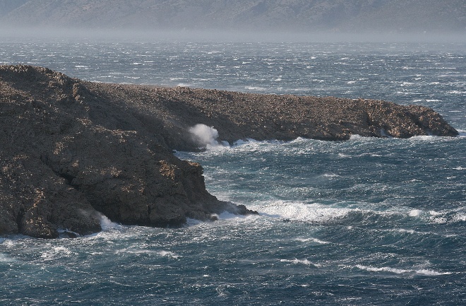 Image 1177841 (auto)