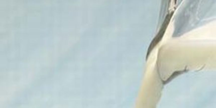 Mlijeko/Foto: www.ecofriend.org