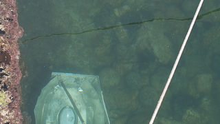 Zadar: Rasvjetni stup završio u moru, foto: Leo Banic