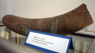 GKZD Arbanasi: Etno zbirka u nastajanju