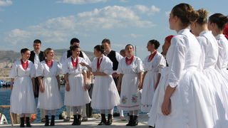 Crna ovca u Baški na otoku Krku Crna ovca u Baški na otoku Krku