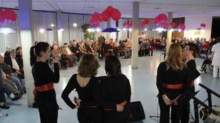 Valentinovo u Domu za stare i nemoćne, foto-I. PERINCIC