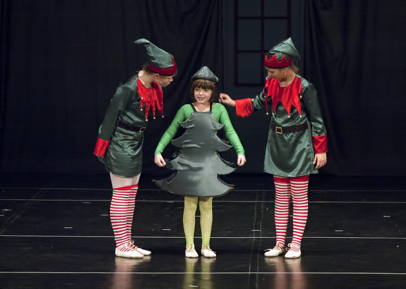 HNK Zadar: HNK Zadar: