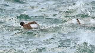 Guštanje u jugu na zadarskoj rivi 15. rujna 2015. Foto: Dino Stanin/PIXSELL