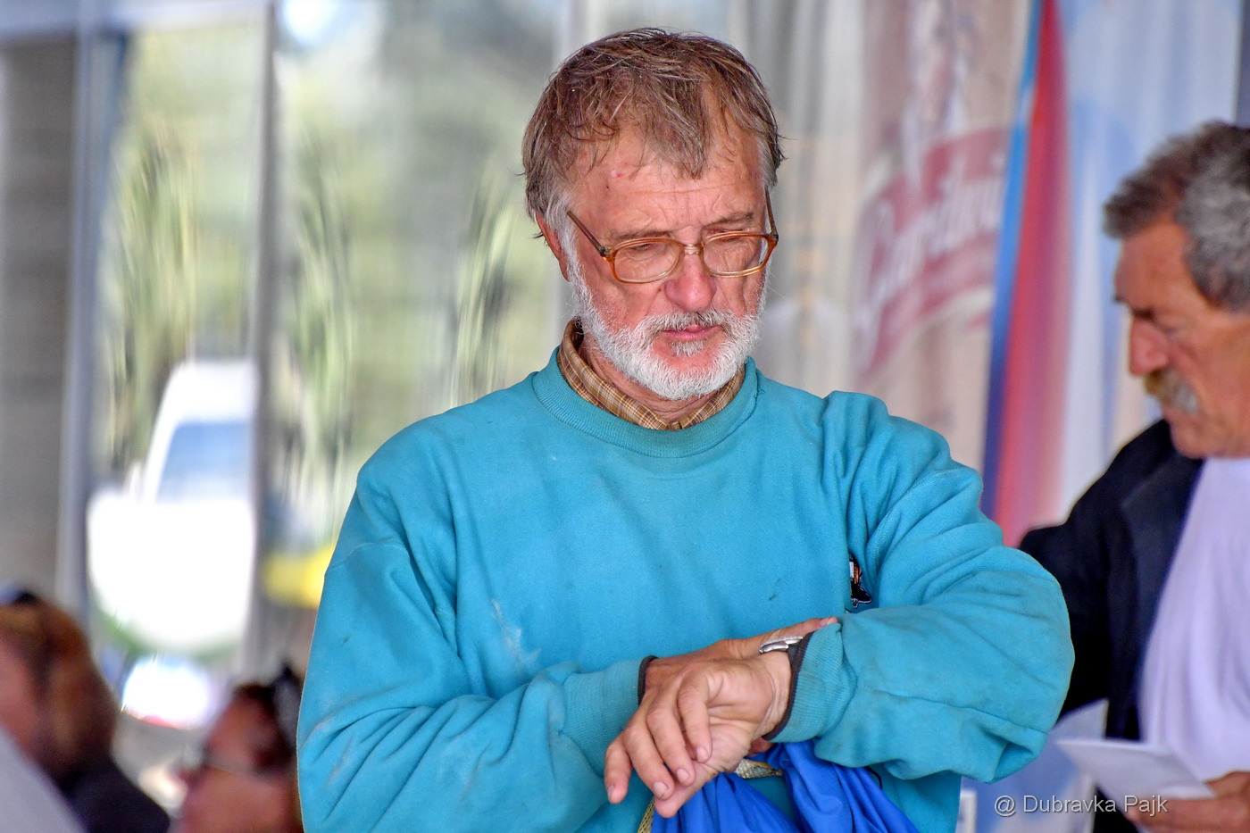 Sva lica “Zadarske koke” Sva lica “Zadarske koke”