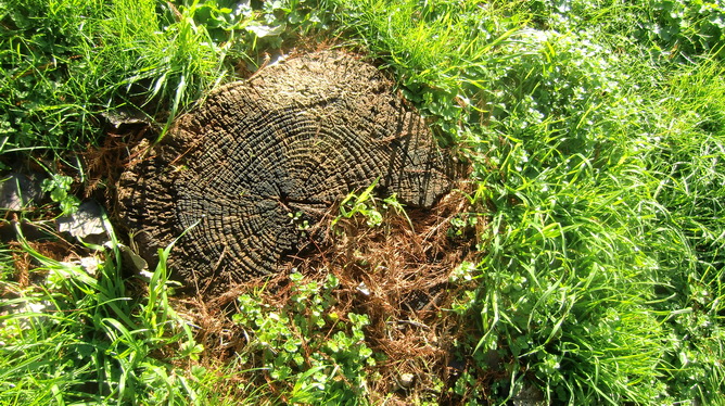 Prijepodne u parku Vruljica