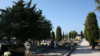 Blagdan Svih Svetih na groblju Belafuža 1. studenog 2011, Foto: Mladen Malik Blagdan Svih Svetih na groblju Belafuža 1. studenog 2011, Foto: Mladen Malik