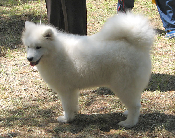 Image 1171101 (auto)