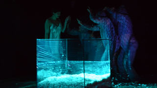 Žene – Svestranost