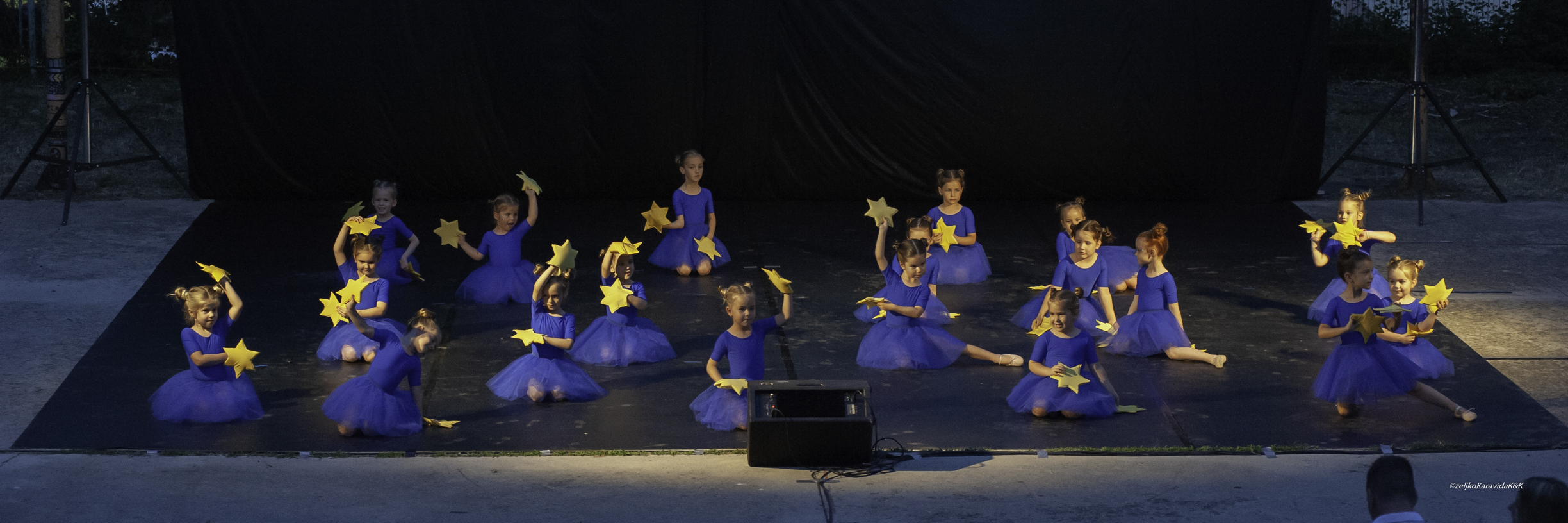 Gesta obilježila dvadeset godina djelovanja Gesta obilježila dvadeset godina djelovanja