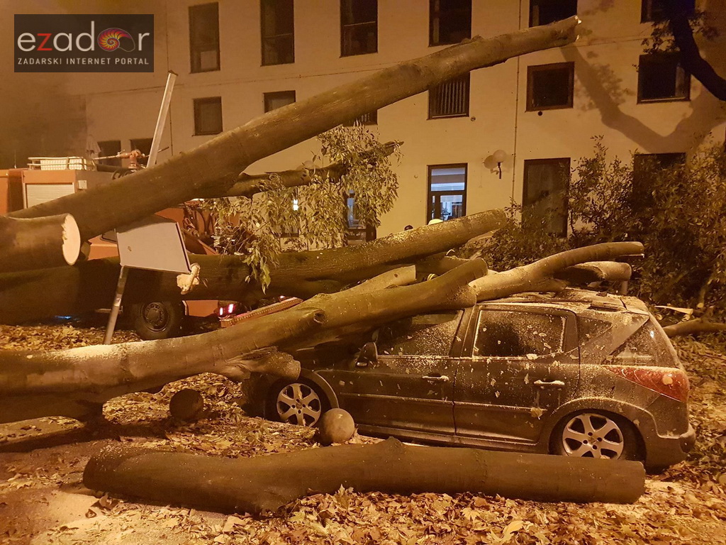 Jak vjetar srušio stablo na parkirane automobile kod OŠ Petar Preradović na Poluotoku