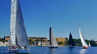 “Zadarska koka”: Regata za sve generacije snimljena iz “koke” “Zadarska koka”: Regata za sve generacije snimljena iz “koke”