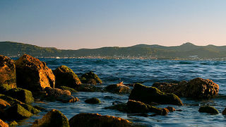 Image 1194635 (auto)