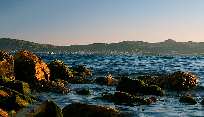 Image 1194635 (auto)