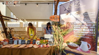 4. Fešta od sira u Kolanu