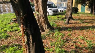 Ekocid u uvali Maestral Ekocid u uvali Maestral