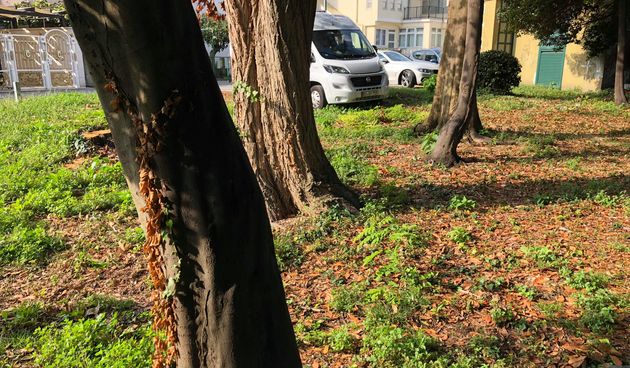 Ekocid u uvali Maestral