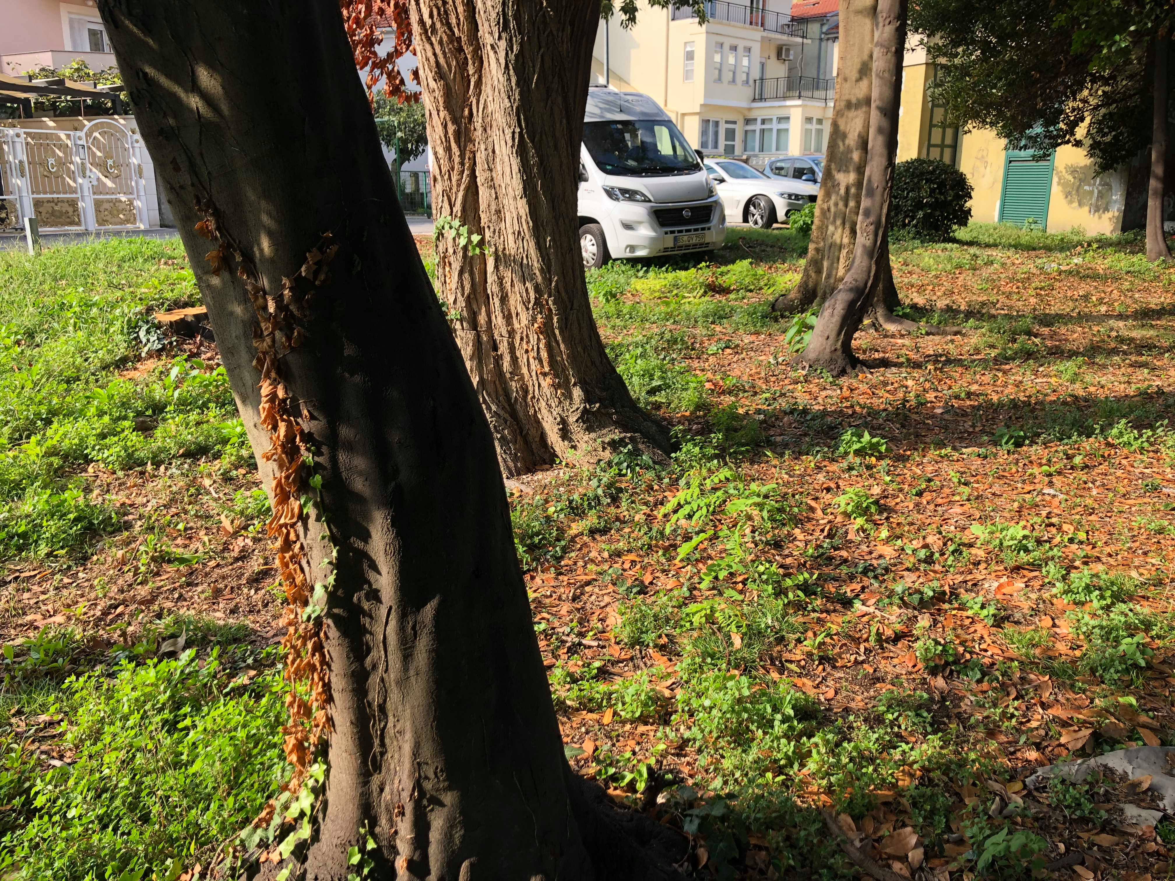 Ekocid u uvali Maestral Ekocid u uvali Maestral