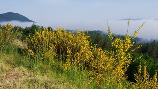 Odmor za dušu u ljepoti prirode by L. Kvarantan