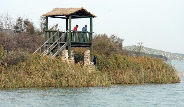 Prosika – Park prirode Vransko Jezero danas obiljezava 15.obljetnicu proglasenja parkom prirode Photo: Hrvoje Jelavic/PIXSELL