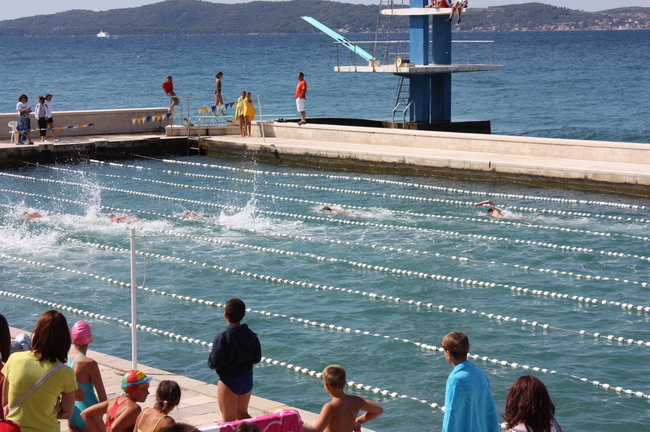Plivacki miting “Zadar 2008.”