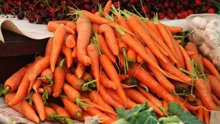 Image 1199875 (auto)