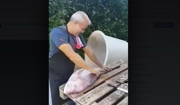 Čišćenje cara od ribe