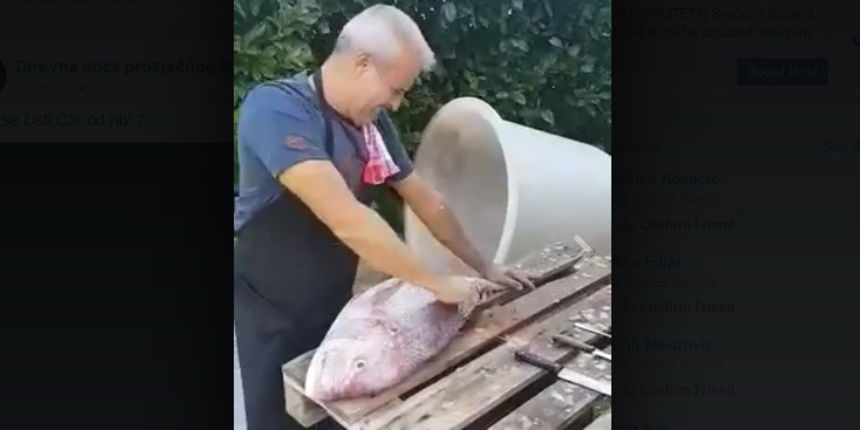 Čišćenje cara od ribe Čišćenje cara od ribe