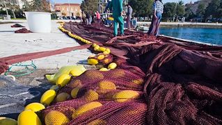 Ribar krpa mrižu svoju (foto:Saša Čuka) Ribar krpa mrižu svoju (foto:Saša Čuka)