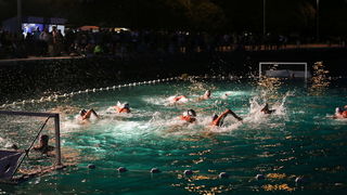 VAK”AN”ZA 31%, finale: Reptili – Nesvrstani 2-4 VAK”AN”ZA 31%, finale: Reptili – Nesvrstani 2-4