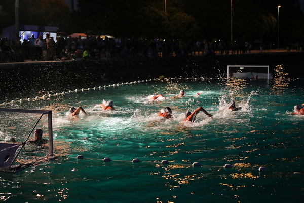 VAK”AN”ZA 31%, finale: Reptili – Nesvrstani 2-4 VAK”AN”ZA 31%, finale: Reptili – Nesvrstani 2-4