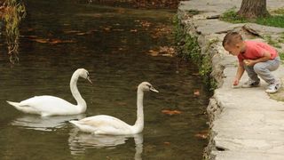 Jesenske boje i ljepote Nacionalnog parka Slapovi Krke oduševljavaju i dalje mnogobrojne turiste iz cijeloga svijeta. Photo: Hrvoje Jelavic/PIXSELL Jesenske boje i ljepote Nacionalnog parka Slapovi Krke oduševljavaju i dalje mnogobrojne turiste iz cijeloga svijeta. Photo: Hrvoje Jelavic/PIXSELL