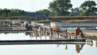 Nin: Prvi rođendan Muzeja soli