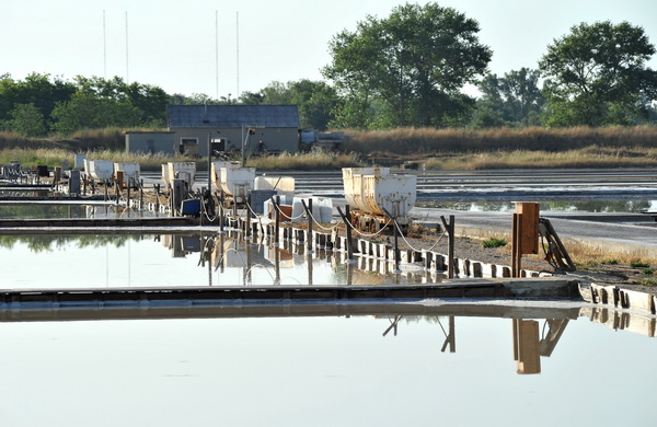 Nin: Prvi rođendan Muzeja soli