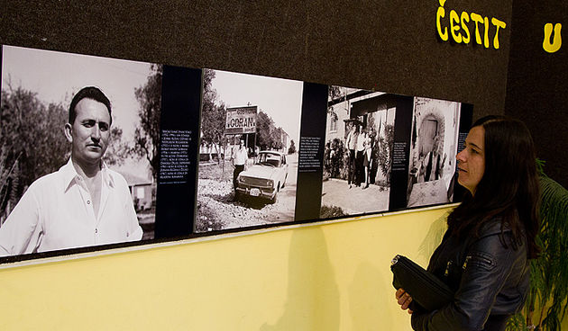 Bibinje u objektivu Ante Brkana, foto: Leo Banić